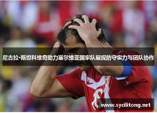 尼古拉·斯坦科维奇助力塞尔维亚国家队展现防守实力与团队协作