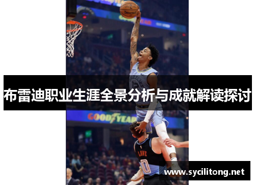布雷迪职业生涯全景分析与成就解读探讨