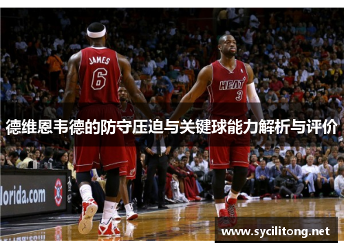 德维恩韦德的防守压迫与关键球能力解析与评价