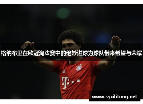 格纳布里在欧冠淘汰赛中的绝妙进球为球队带来希望与荣耀