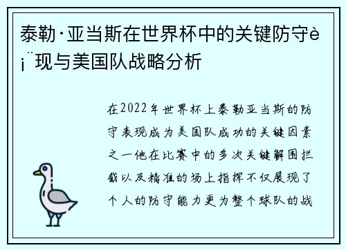 泰勒·亚当斯在世界杯中的关键防守表现与美国队战略分析