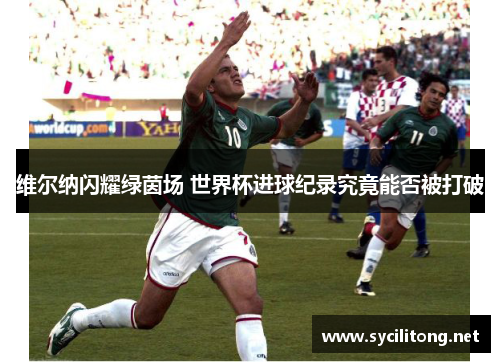 维尔纳闪耀绿茵场 世界杯进球纪录究竟能否被打破