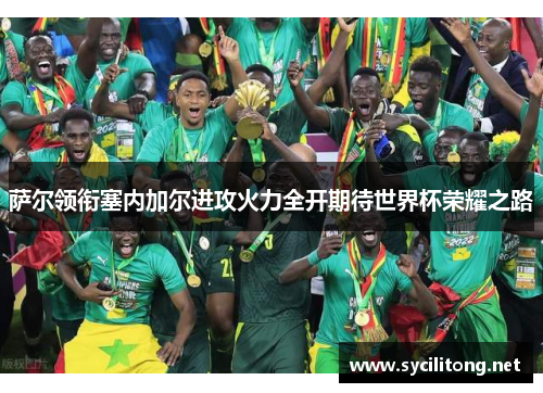 萨尔领衔塞内加尔进攻火力全开期待世界杯荣耀之路