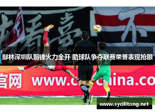郜林深圳队前锋火力全开 助球队争夺联赛荣誉表现抢眼