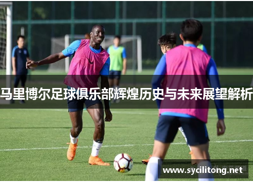 马里博尔足球俱乐部辉煌历史与未来展望解析