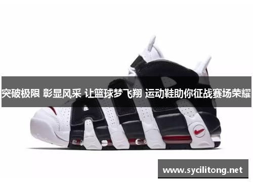 突破极限 彰显风采 让篮球梦飞翔 运动鞋助你征战赛场荣耀 突破极限 彰显风采 让篮球梦飞翔 运动鞋助你征战赛场荣耀