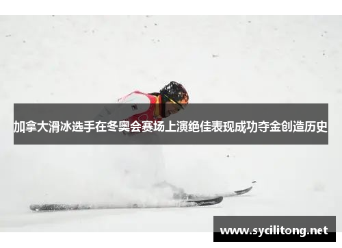 加拿大滑冰选手在冬奥会赛场上演绝佳表现成功夺金创造历史