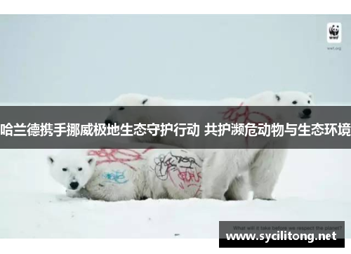 哈兰德携手挪威极地生态守护行动 共护濒危动物与生态环境