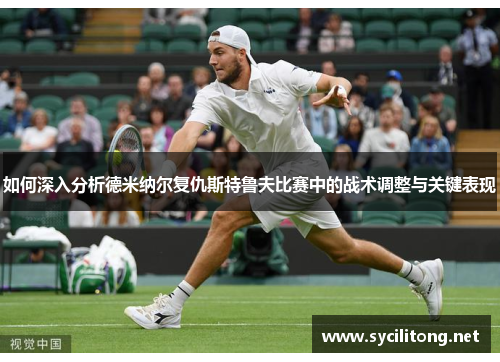如何深入分析德米纳尔复仇斯特鲁夫比赛中的战术调整与关键表现