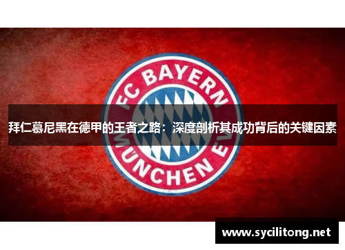 拜仁慕尼黑在德甲的王者之路：深度剖析其成功背后的关键因素