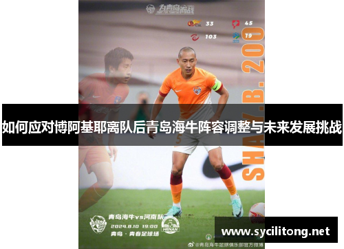 如何应对博阿基耶离队后青岛海牛阵容调整与未来发展挑战