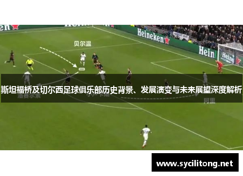 斯坦福桥及切尔西足球俱乐部历史背景、发展演变与未来展望深度解析