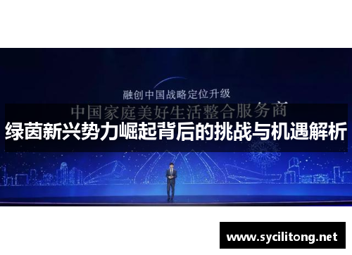 绿茵新兴势力崛起背后的挑战与机遇解析
