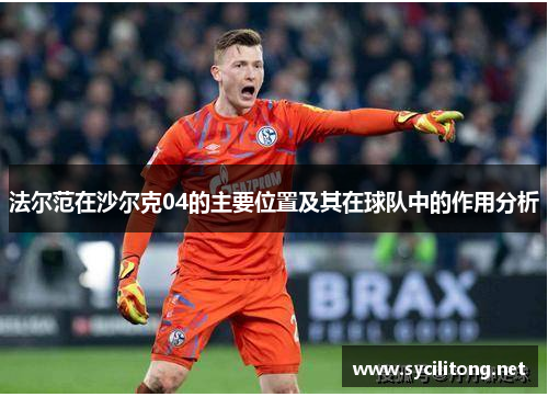 法尔范在沙尔克04的主要位置及其在球队中的作用分析