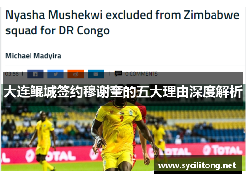 大连鲲城签约穆谢奎的五大理由深度解析