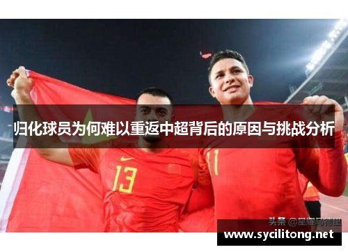 归化球员为何难以重返中超背后的原因与挑战分析