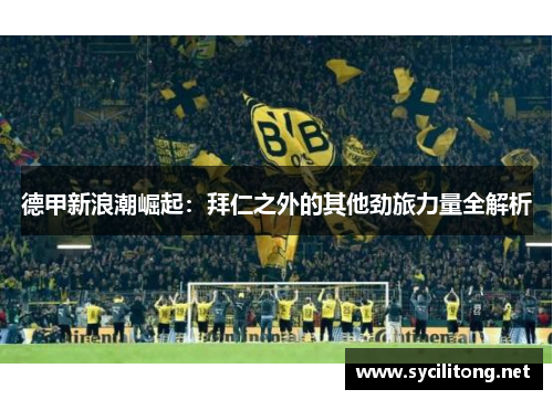 德甲新浪潮崛起：拜仁之外的其他劲旅力量全解析