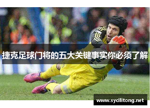 捷克足球门将的五大关键事实你必须了解 捷克足球门将的五大关键事实你必须了解