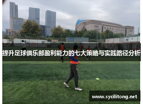 提升足球俱乐部盈利能力的七大策略与实践路径分析 提升足球俱乐部盈利能力的七大策略与实践路径分析