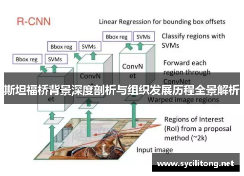 斯坦福桥背景深度剖析与组织发展历程全景解析
